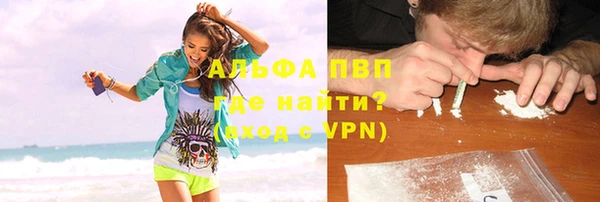 хмурый Абаза
