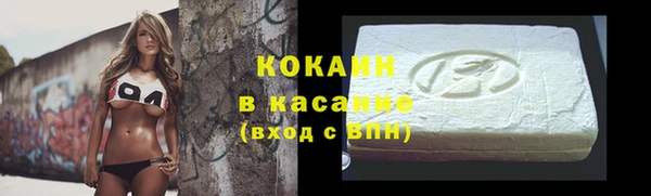 хмурый Абаза