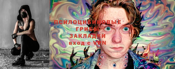 хмурый Абаза