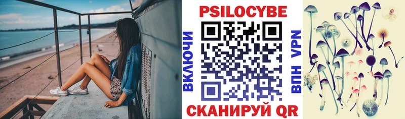 Псилоцибиновые грибы Psilocybine cubensis  Скопин 